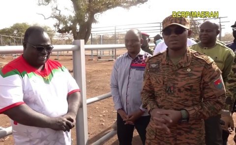 Burkina : 710 vaches gestantes en provenance du Brésil pour dynamiser la filière lait Burkina : 710 vaches gestantes en provenance du Brésil pour dynamiser la filière lait