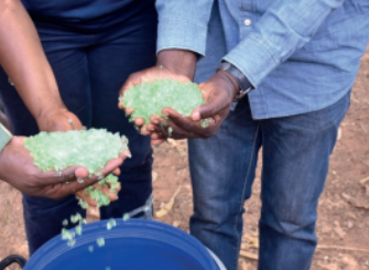 Production d’anacarde au Burkina Faso : « Barbary-Plante », un nouvel engrais pour mieux nourrir les plants Production d’anacarde au Burkina Faso : « Barbary-Plante », un nouvel engrais pour mieux nourrir les plants